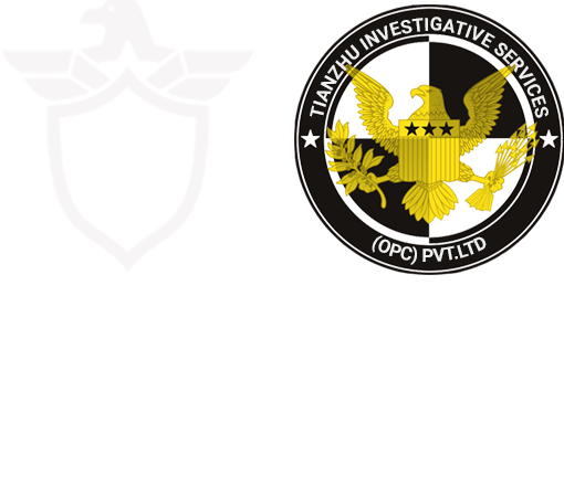 Detective agency in Indore, logo